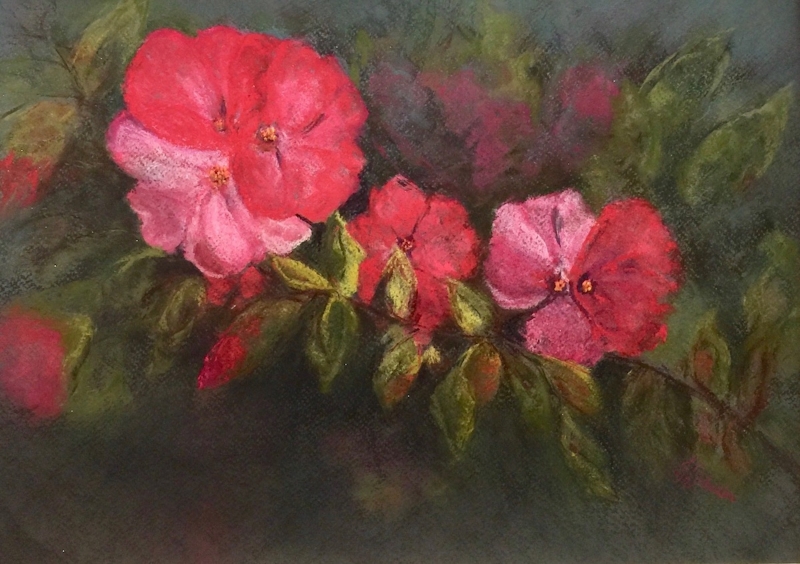 Country House Roses by artist Joycelyn Schedler